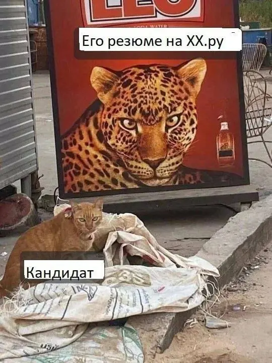 Очень даже похоже 😂
БЛОГ В ТГ / БЛОГ В MAX
#Юмор #Коты
В этом посте были ссылки, но мы их удалили по правилам Сетки | Сетка — социальная сеть от hh.ru