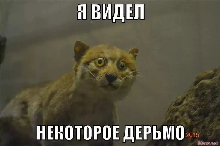 Ваш агент, после выходных со мной | Сетка — социальная сеть от hh.ru