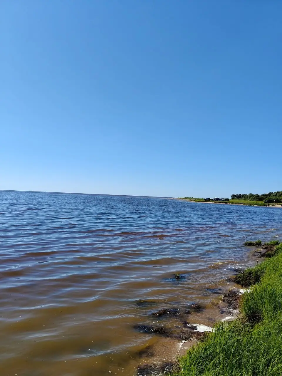 Всем добра🤝 Озеро Ильмень 🚣 Постоянные ветра и частые грозы (или жара🥵) не способствуют рыбалке.
Ловлю момент. Рыбка на ямах присутствует. Ловил на донку. Насадка — червь, опарыш | Сетка — социальная сеть от hh.ru