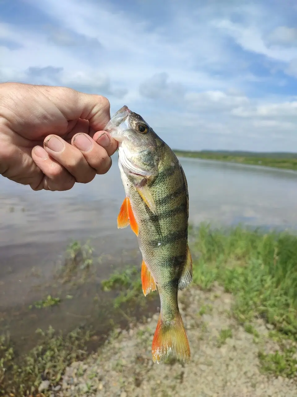 По пути в деревню пару часиков постоял в Казанке.
Вода прибыла очень прилично | Сетка — социальная сеть от hh.ru