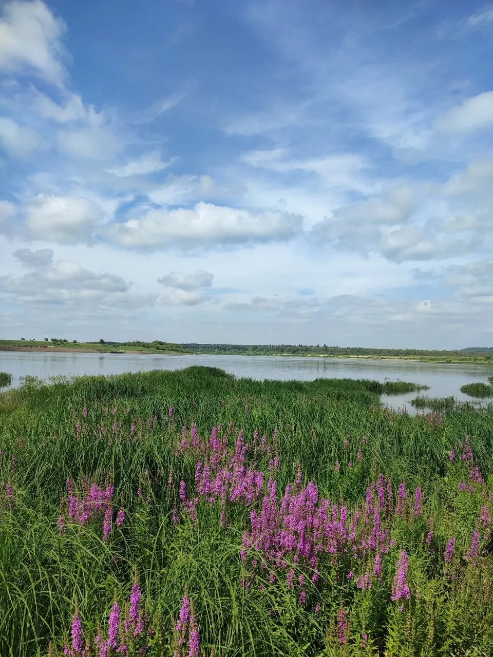 По пути в деревню пару часиков постоял в Казанке.
Вода прибыла очень прилично | Сетка — социальная сеть от hh.ru