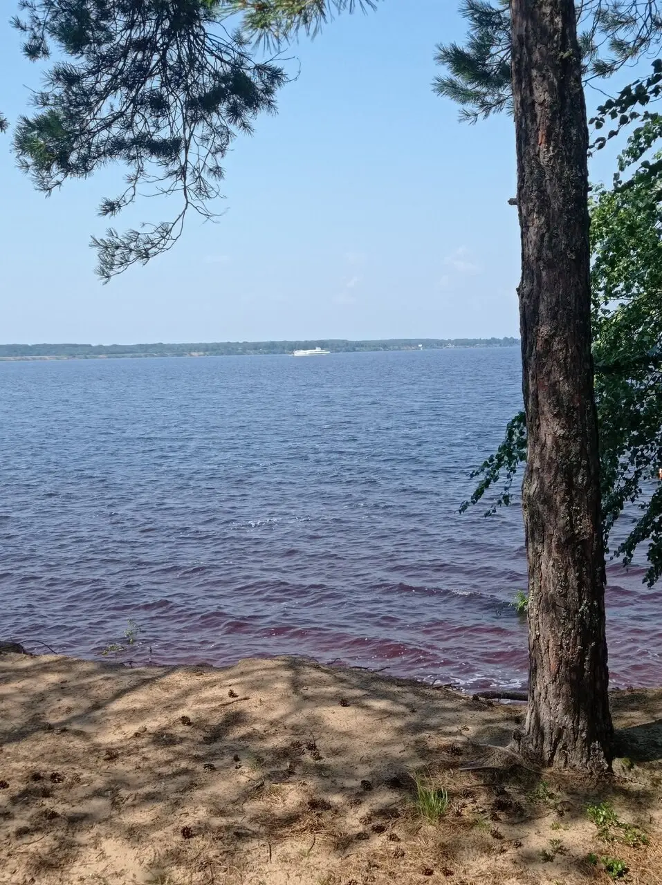 Камское водохранилище. Жара, июль, погода отпад. Рыба клюёт на всё. Размер конечно так себе, много мелочи утоплено, на сковороду подарить взяли пару рыбок. Всем отличного отдыха | Сетка — социальная сеть от hh.ru