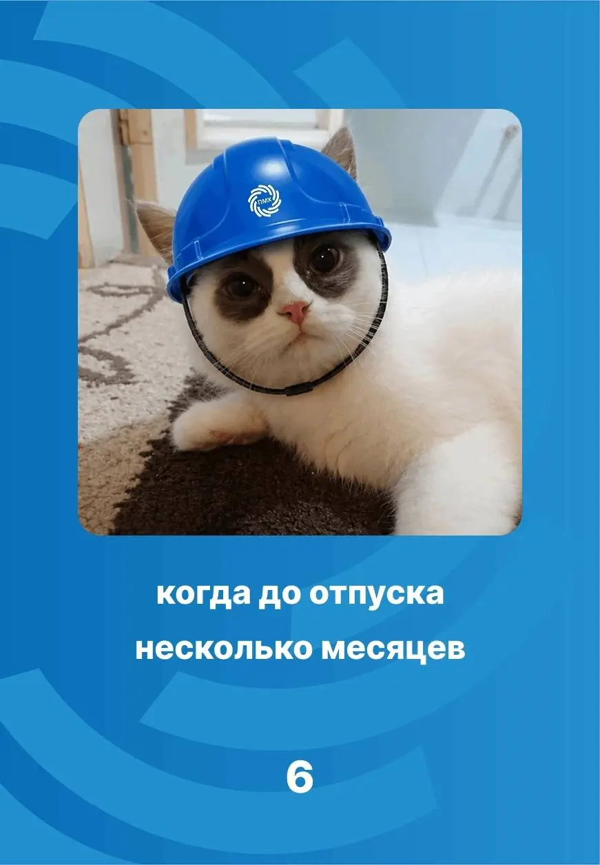 Делитесь своим летним, пятничным настроением в опросе 🔽😊
Выбирайте от 1-6✨ | Сетка — социальная сеть от hh.ru