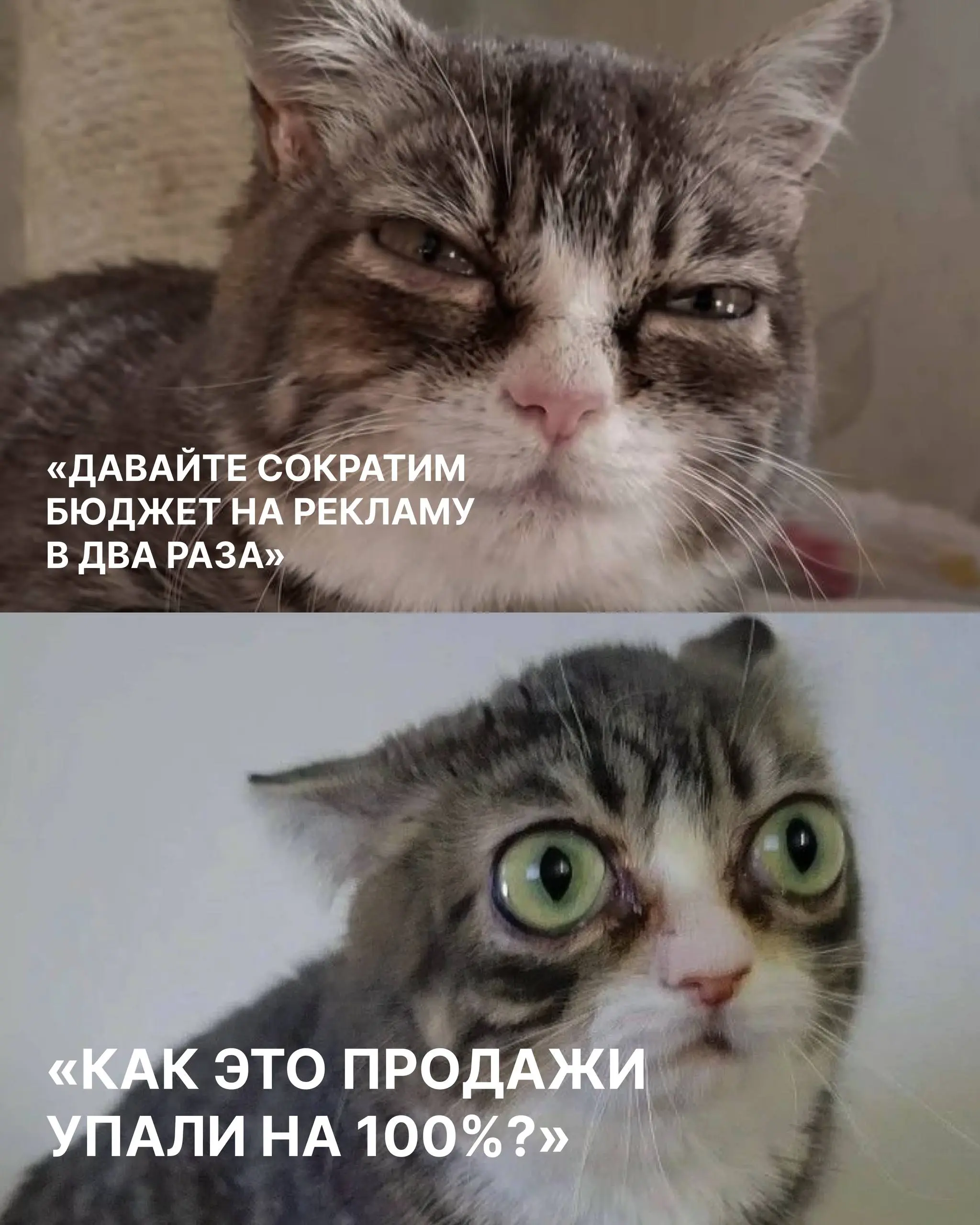🔥 Что будет, если бюджет урезать в два раза — продажи упадут вдвое?
Этот вопрос от собственника, CFO или CEO слышал каждый маркетолог | Сетка — социальная сеть от hh.ru