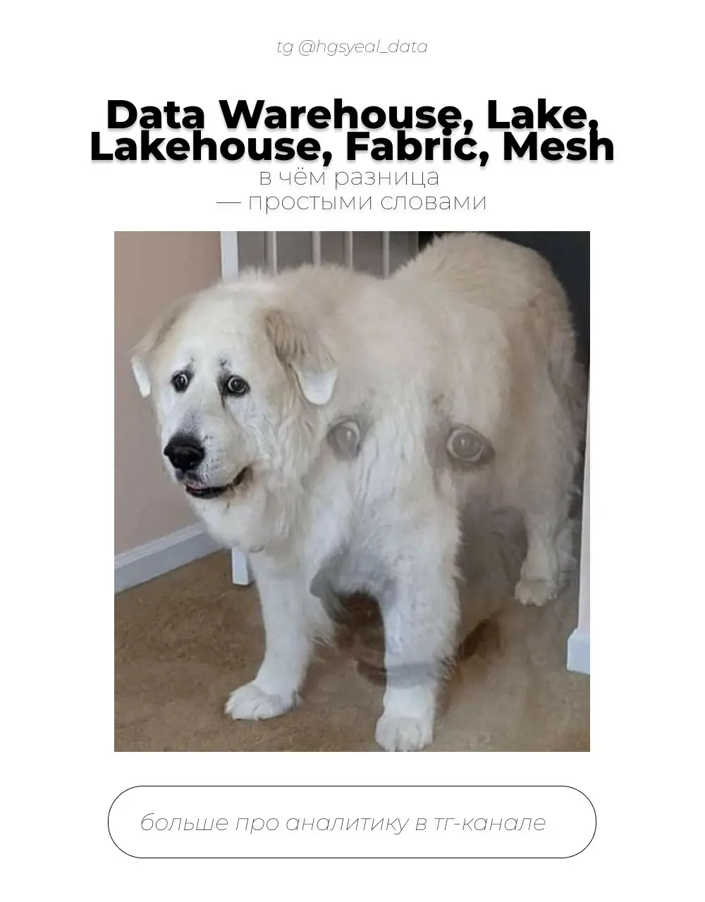 🤩 Data Warehouse, Lake, Lakehouse, Fabric, Mesh — в чём разница?
Если вы работаете с данными, эти слова наверняка уже мелькали в вакансиях, презентациях и созвонах
А если копнуть глубже, начинается пу... | Сетка — социальная сеть от hh.ru