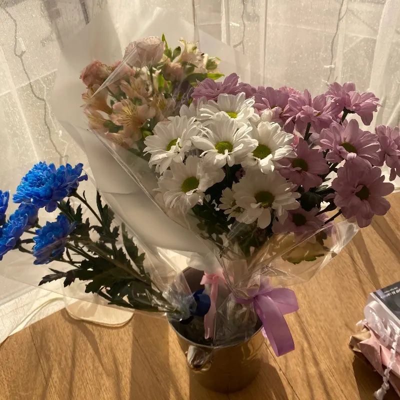 Елена Александровна