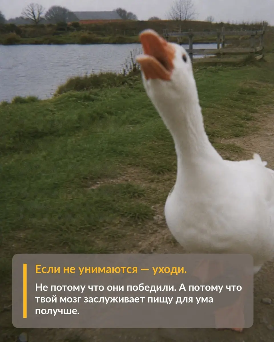 Как справляться с абсурдной ситуацией
Сказки советы матушки Гусыни | Сетка — социальная сеть от hh.ru
