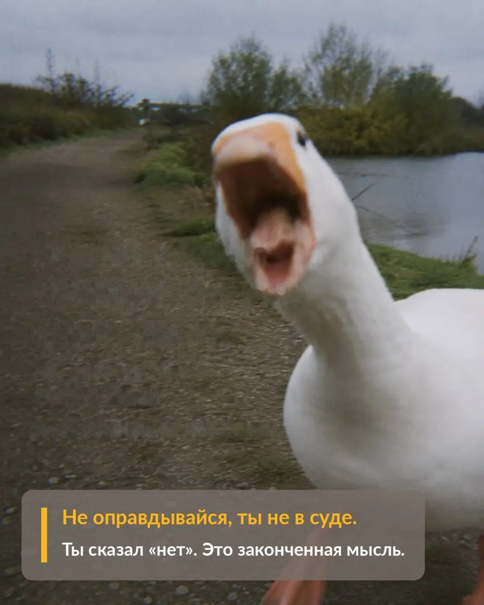 Как справляться с абсурдной ситуацией
Сказки советы матушки Гусыни | Сетка — социальная сеть от hh.ru