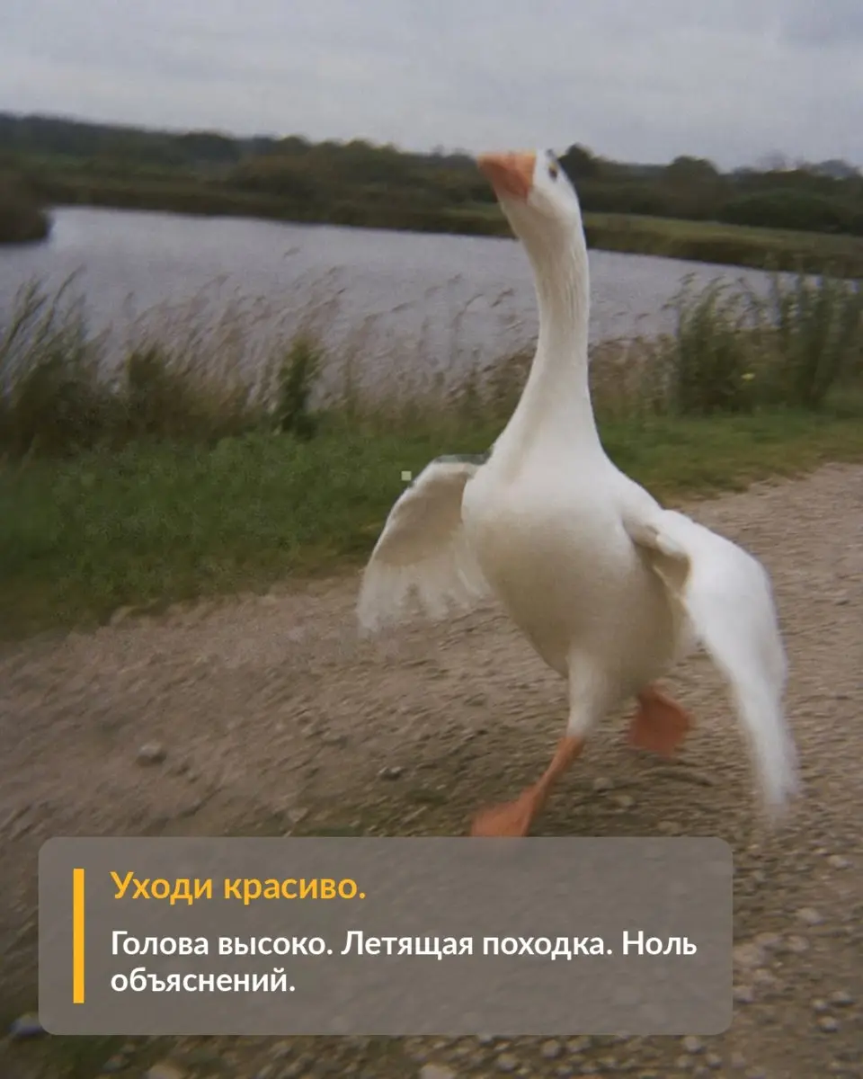 Как справляться с абсурдной ситуацией
Сказки советы матушки Гусыни | Сетка — социальная сеть от hh.ru