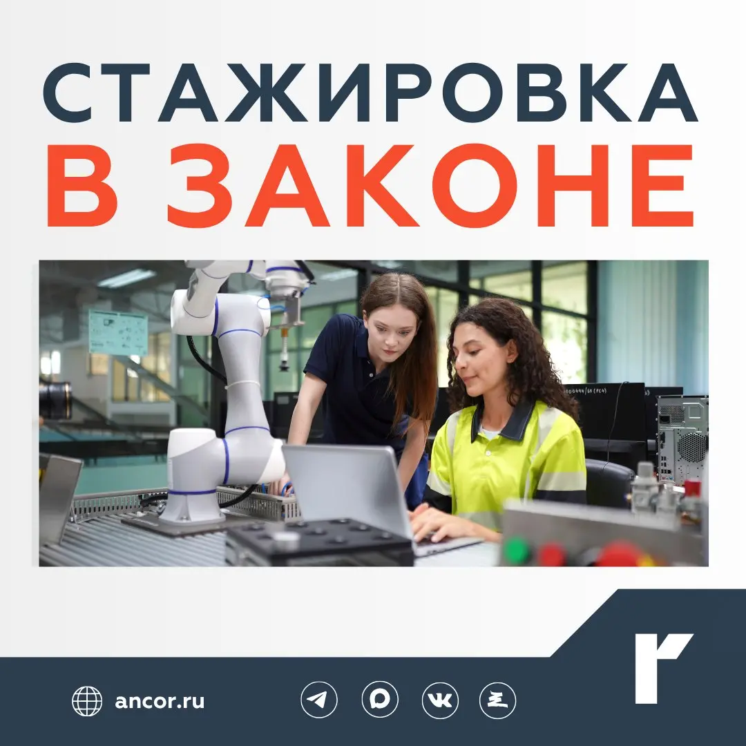 💼 В России закрепили единые правила трудоустройства стажеров | Сетка — социальная сеть от hh.ru