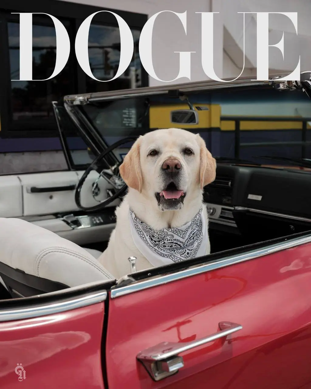 главный модный глянец планеты Vogue снова решил сыграть на наших слабостях и устроил кастинг хвостатых супермоделей
их виртуальный проект Dogue ищет главную звезду для нового выпуска
если ваш четверон... | Сетка — социальная сеть от hh.ru