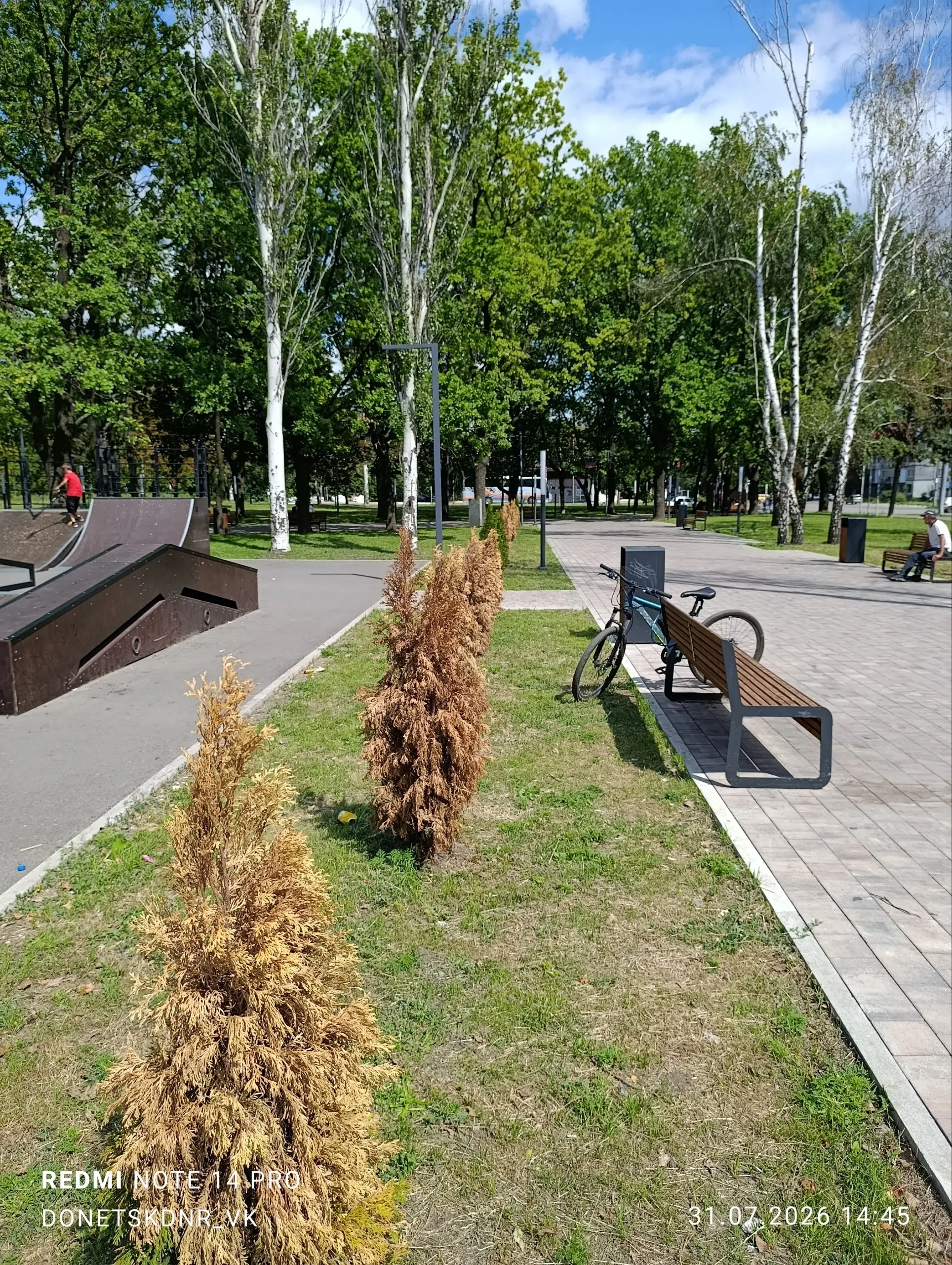 Югорский Парк, Макеевка:
Большинство деревьев и кустарников изначально мертвы | Сетка — социальная сеть от hh.ru