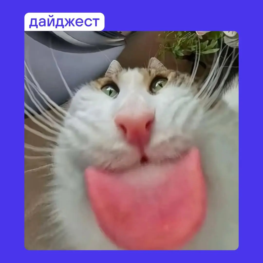 Месяц заканчивается, а хороший контент — нет. Собрали все июльские публикации в одном месте.
🔵 Если вместо личного бренда у тебя пока только имя и фамилия — почитай тут | Сетка — социальная сеть от hh.ru