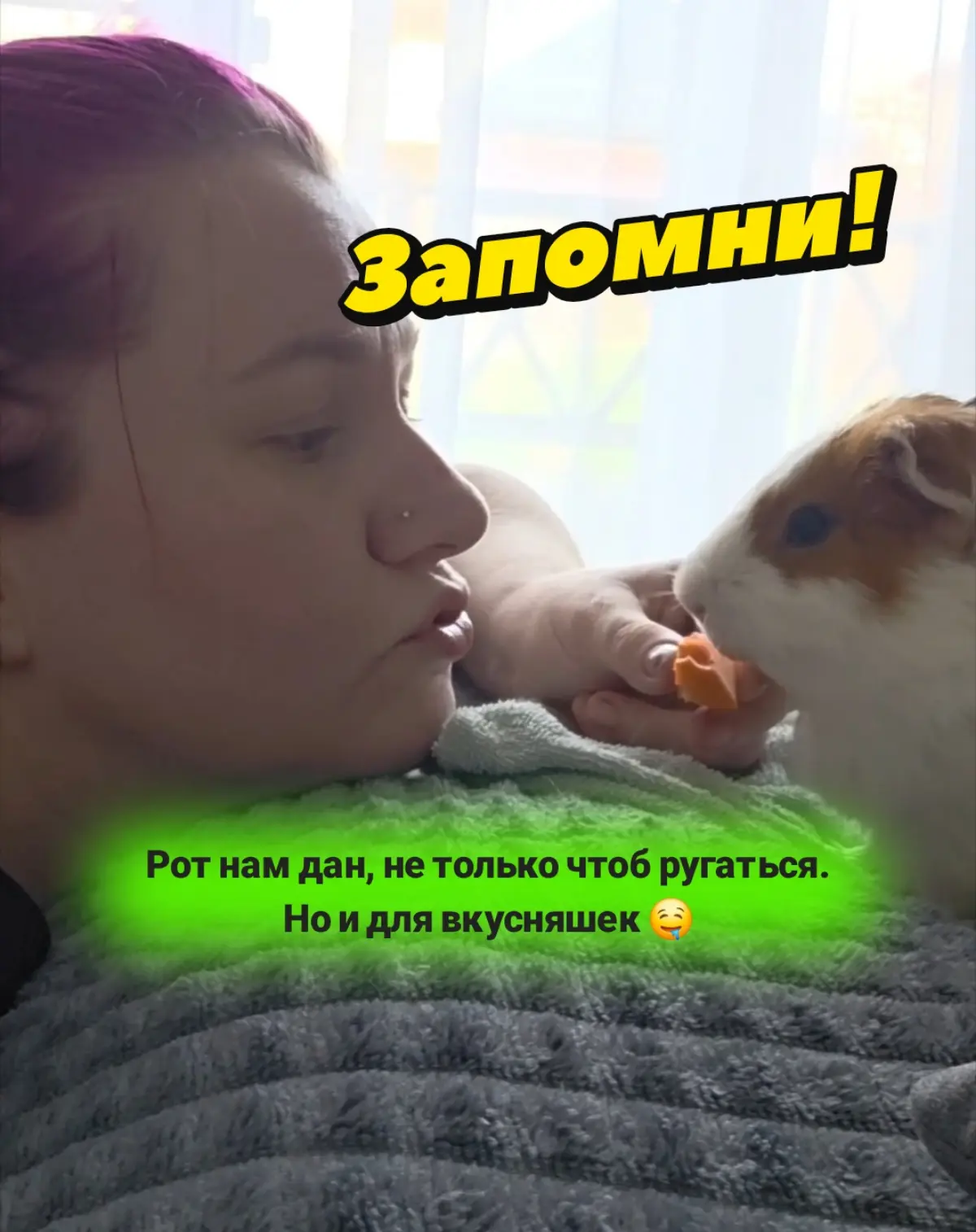🐦‍⬛ прислал(-а) сообщение | Сетка — социальная сеть от hh.ru
