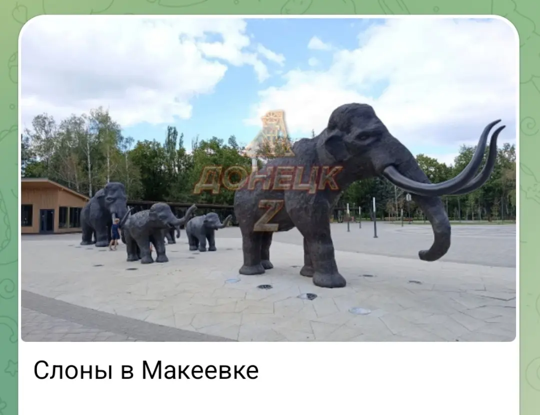 Может мамонты конечно и слоны, но они об этом просто не знают ничего | Сетка — социальная сеть от hh.ru