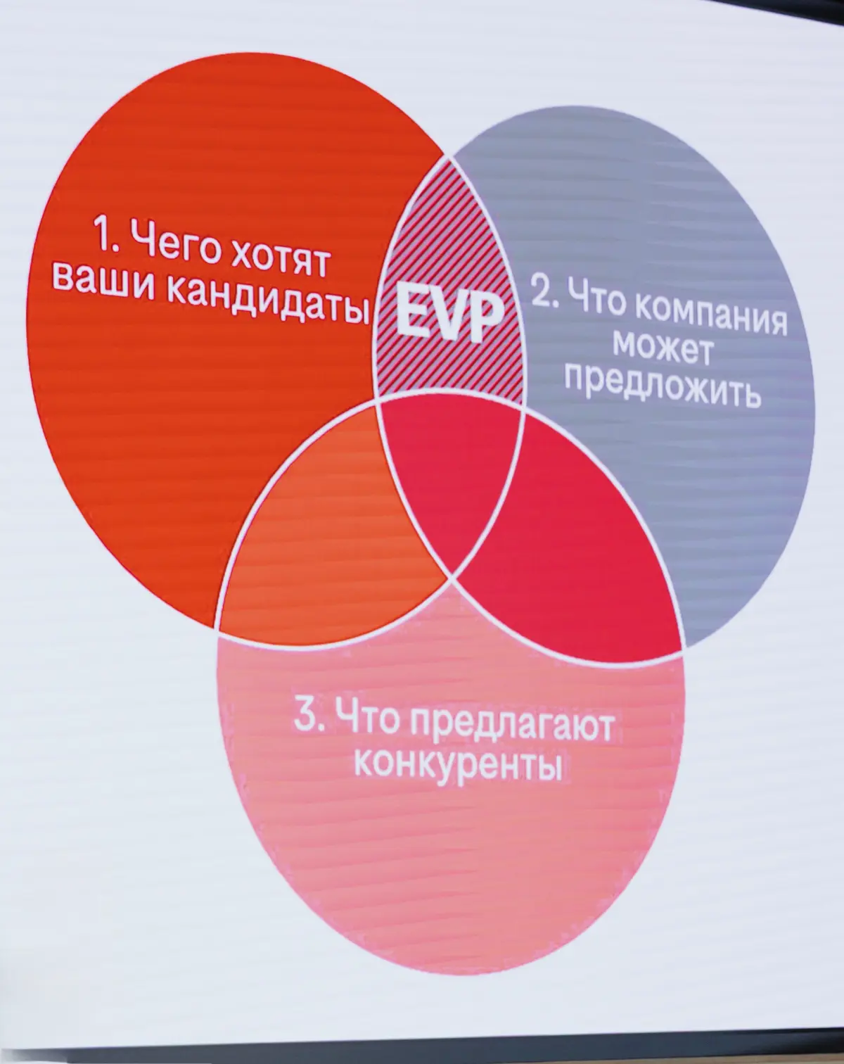EVP | Сетка — социальная сеть от hh.ru