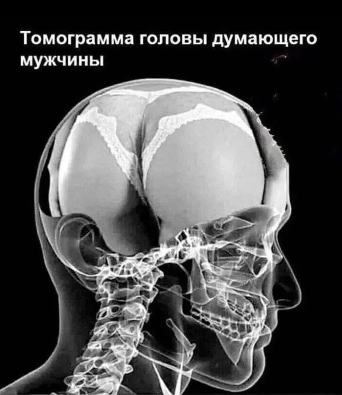 Из чего же сделаны наши мальчишки? 🤭 | Сетка — социальная сеть от hh.ru