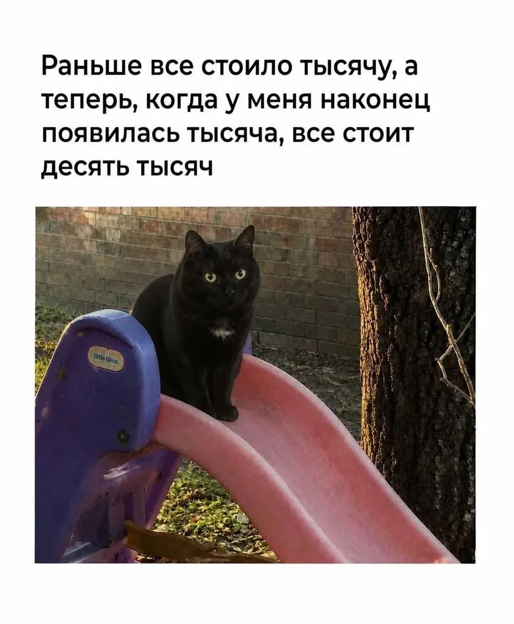 #newlife | Сетка — социальная сеть от hh.ru