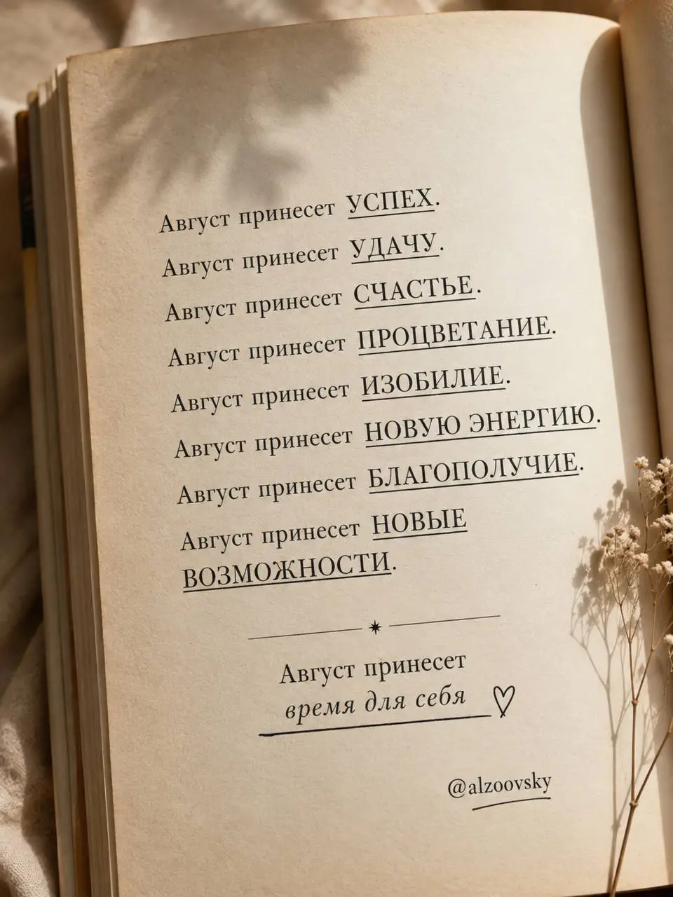 Я бы мог написать отправь это первому в поделиться, чтобы сбылось.
Но я верю, что у тебя и так все сбудется, Дрогой читатель | Сетка — социальная сеть от hh.ru