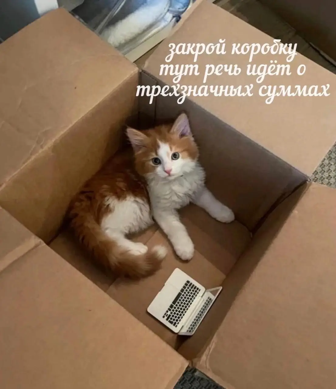 Весь в работе, даже свой кабинет есть 😂
БЛОГ В ТГ / БЛОГ В MAX
#Юмор #Коты
В этом посте были ссылки, но мы их удалили по правилам Сетки | Сетка — социальная сеть от hh.ru