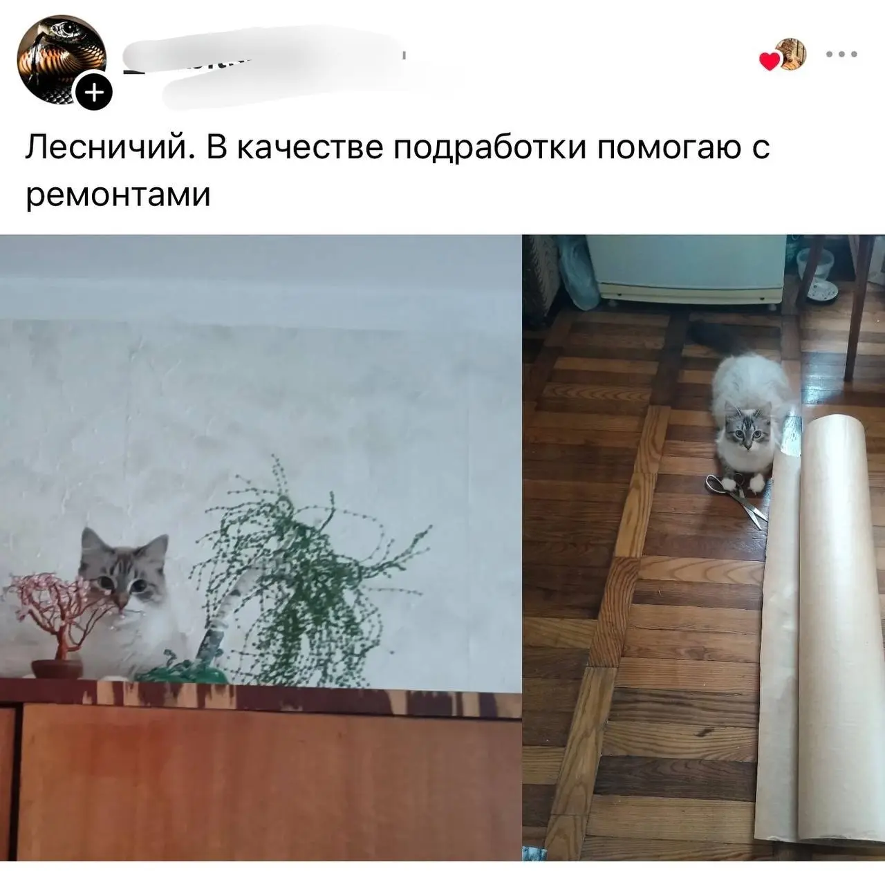 В тредс владельцы котов рассказали, кем работают их питомцы
От любимой подруги Ирины ❤️
БЛОГ В ТГ / БЛОГ В MAX
#Юмор #Коты #История
В этом посте были ссылки, но мы их удалили по правилам Сетки | Сетка — социальная сеть от hh.ru