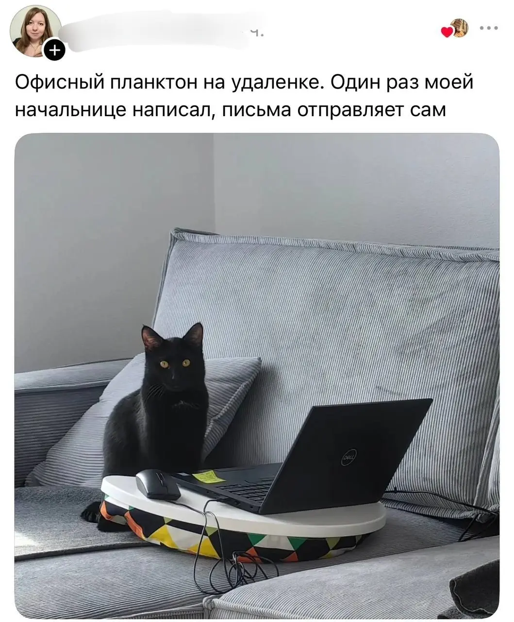 В тредс владельцы котов рассказали, кем работают их питомцы
От любимой подруги Ирины ❤️
БЛОГ В ТГ / БЛОГ В MAX
#Юмор #Коты #История
В этом посте были ссылки, но мы их удалили по правилам Сетки | Сетка — социальная сеть от hh.ru