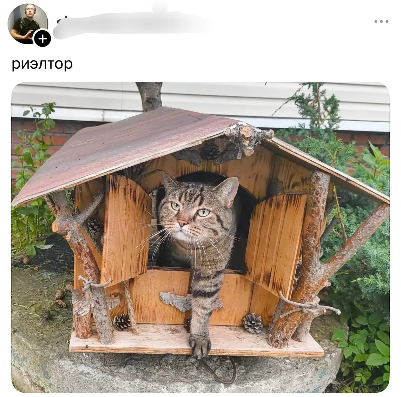 В тредс владельцы котов рассказали, кем работают их питомцы
От любимой подруги Ирины ❤️
БЛОГ В ТГ / БЛОГ В MAX
#Юмор #Коты #История
В этом посте были ссылки, но мы их удалили по правилам Сетки | Сетка — социальная сеть от hh.ru