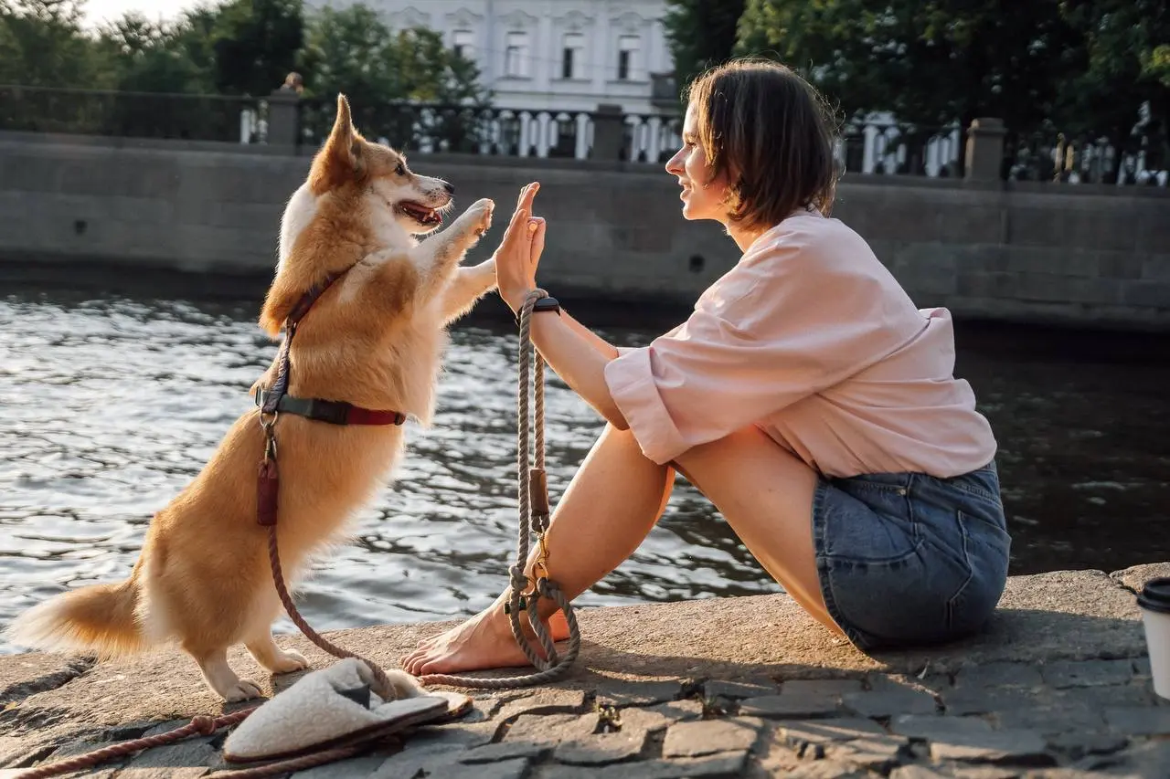 15 августа(суббота) вечером освободилось время для съемки на закате;)
Москва, кому? | Сетка — социальная сеть от hh.ru