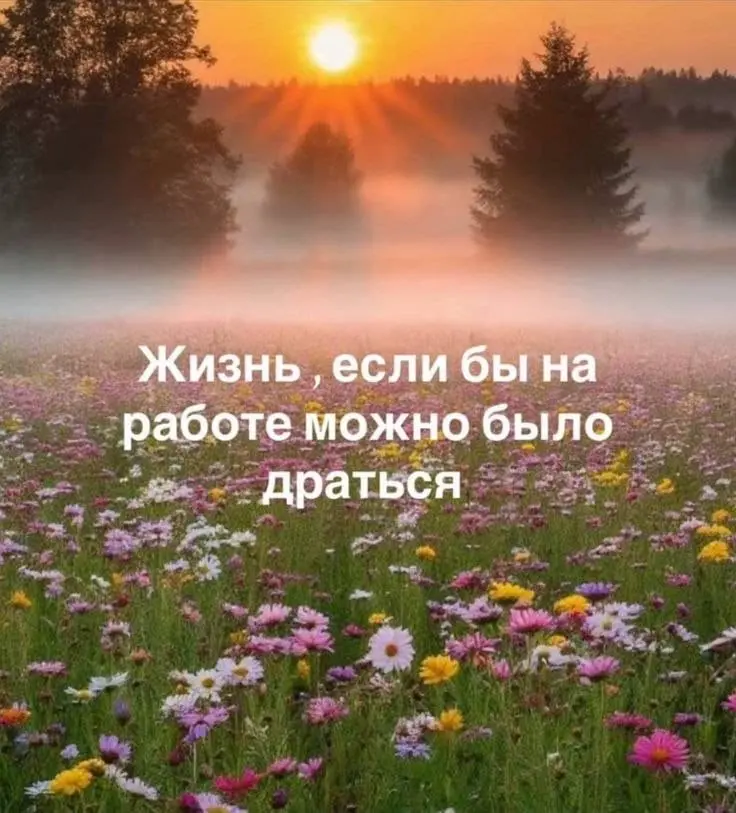 Подборка мемов про рабочие процессы. Сохраняйте, чтобы поделиться с коллегами 😜 | Сетка — социальная сеть от hh.ru