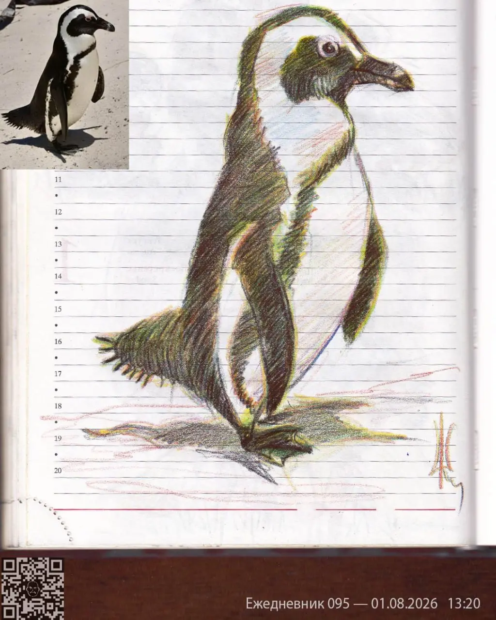 Ежедневник*, день 95
Фауна Африки
Очковый пингвин (African Penguin) — африканский, ослиный или черноногий пингвин. Это единственный пингвин, который гнездится на юге Африки | Сетка — социальная сеть от hh.ru