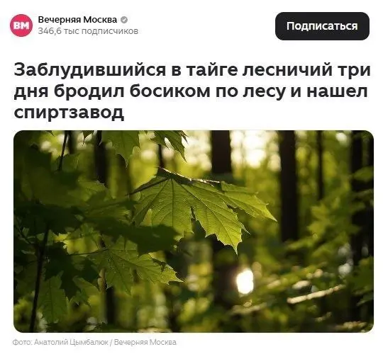 Для тех, кто ищет работу. Даже бесконечный поиск может закончится бинго | Сетка — социальная сеть от hh.ru