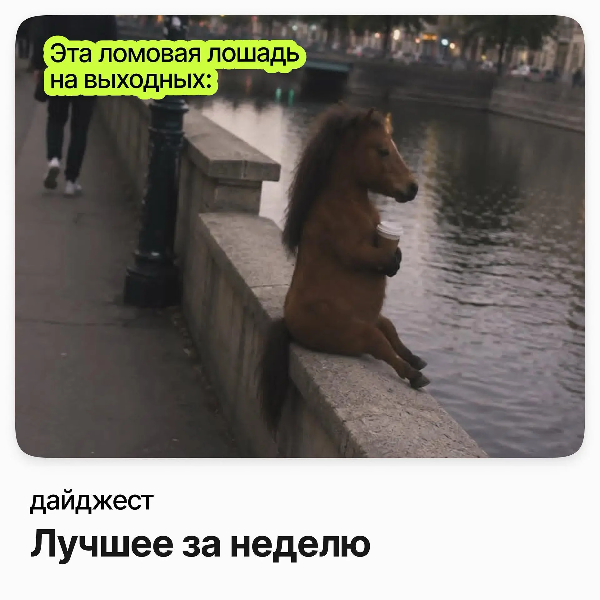💼💼💼Лучшее за неделю — сильнейшие вакансии из наших подборок
Legal Counsel / Telecom Regulatory Counsel [Senior] / deeplay (удалёнка)
Зарплата: от 400 000 ₽ /на руки
Подробнее
Fullstack-аналитик (Senio... | Сетка — социальная сеть от hh.ru
