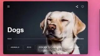 Interactive UI Cards — слайдер. Реализована с помощью СSS и JS
https://codepen.io/Gogh/pen/PLqyNa | Сетка — социальная сеть от hh.ru