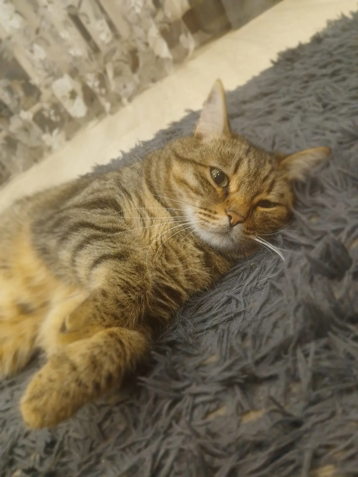 Котики…что, это ...у меня !? не понятное, зайка, или киса!? Или волк в овечьей шкуре!?
А у вас какие?!
У Сонечки сегодня, день рождение 5 лет. | Сетка — социальная сеть от hh.ru