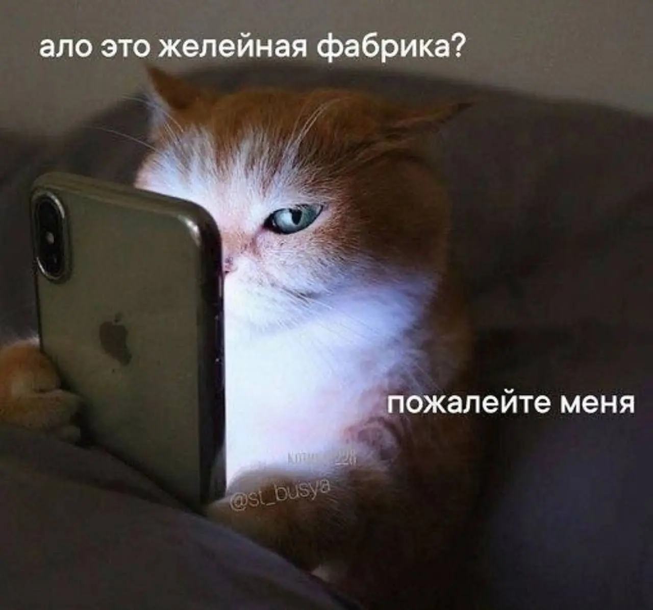 Все мы немного этот котик 😂
БЛОГ В ТГ / БЛОГ В MAX
#Юмор #Коты
В этом посте были ссылки, но мы их удалили по правилам Сетки | Сетка — социальная сеть от hh.ru