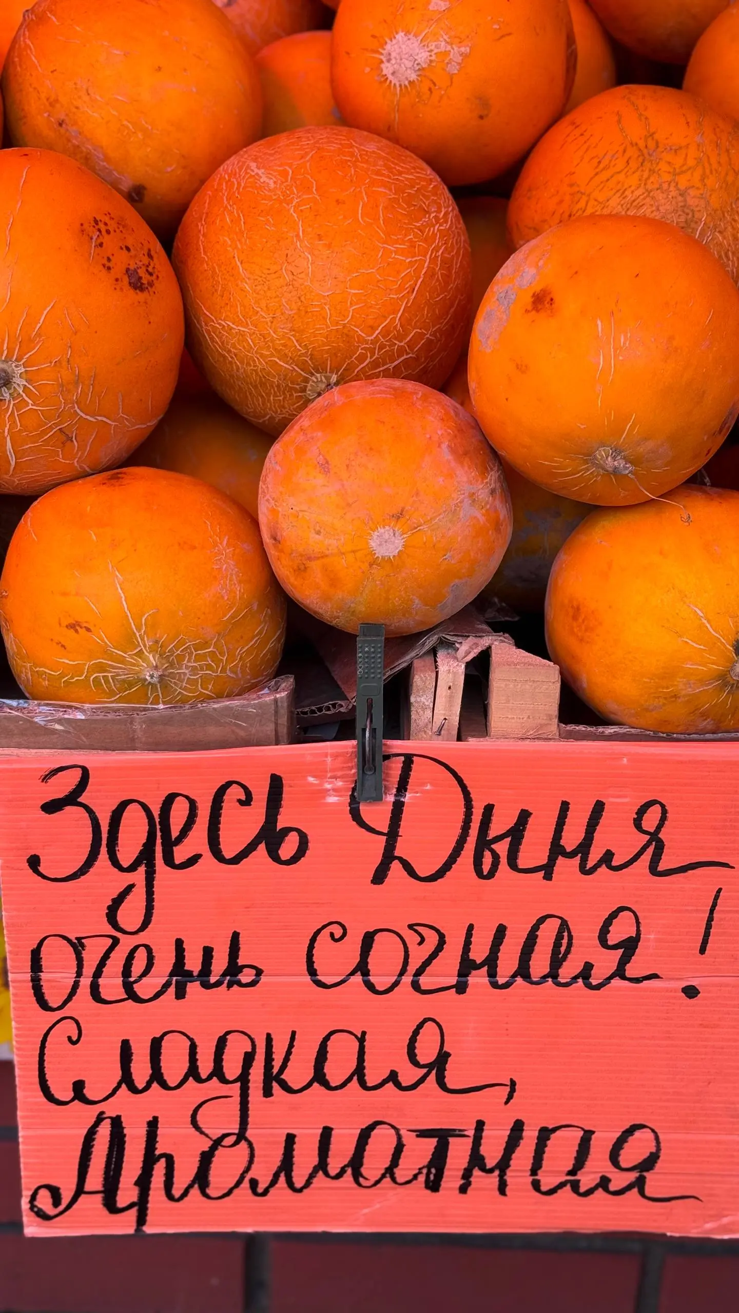 Обожжжжаю
Любимый летний выходной ритуал
на📍Преображенском рынке | Сетка — социальная сеть от hh.ru