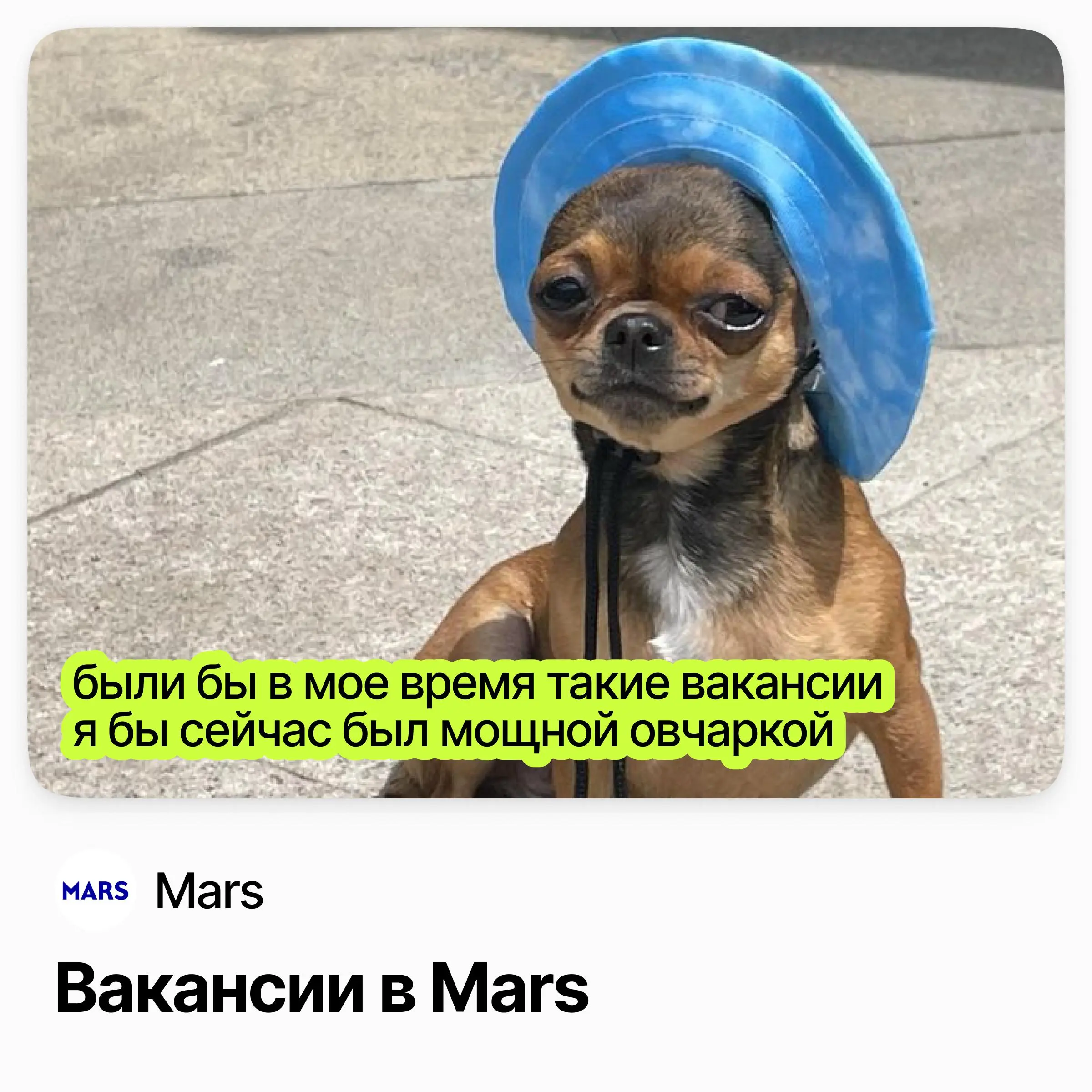💼💼💼 Стажировки и вакансии в Mars
Mars — семейная FMCG-компания с всемирно известными брендами | Сетка — социальная сеть от hh.ru