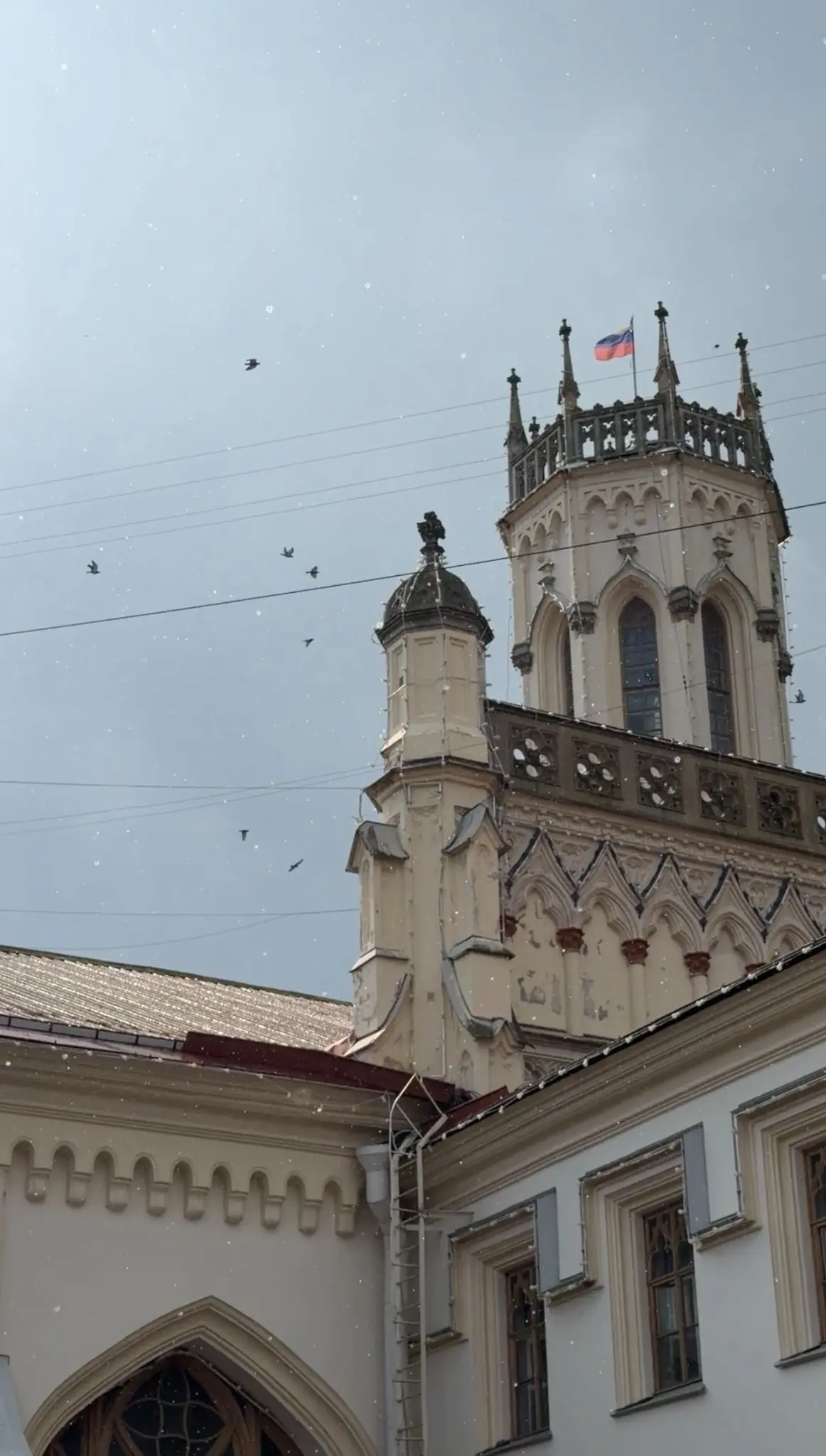 Мне кажется, мной были посещены все главные места и достопримечательности пригорода Санкт-Петербурга | Сетка — социальная сеть от hh.ru