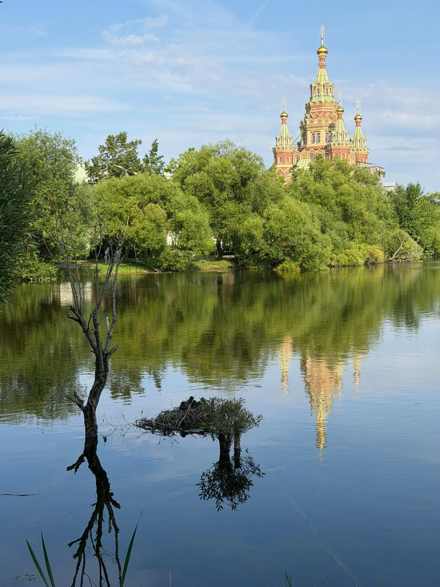 Мне кажется, мной были посещены все главные места и достопримечательности пригорода Санкт-Петербурга | Сетка — социальная сеть от hh.ru