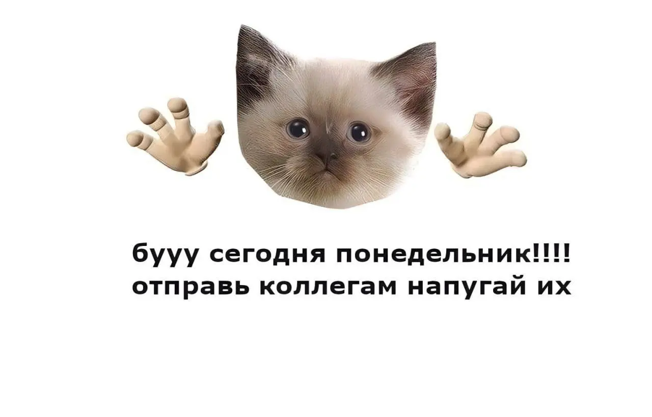 Бу, испугался?
Не бойся. Скоро суббота
А пока — всем продуктива и позитива ✌
@netwrkresume | Сетка — социальная сеть от hh.ru