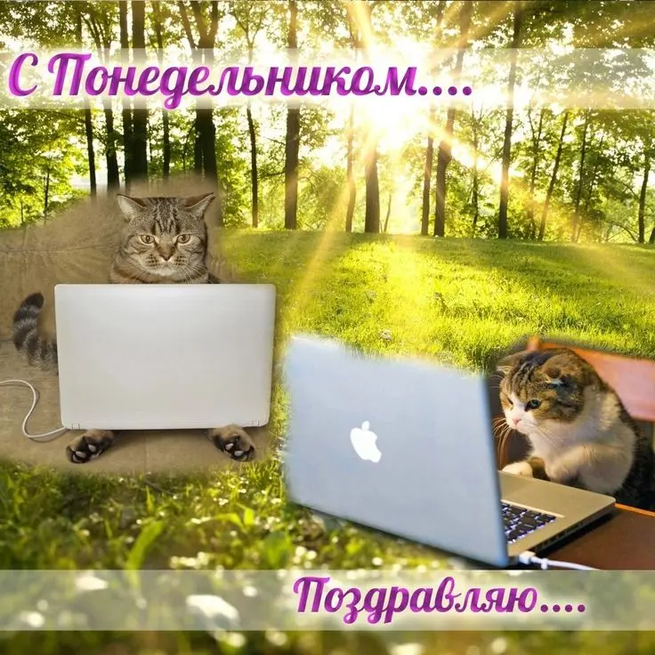 10 дней до отпуска 🤞 | Сетка — социальная сеть от hh.ru