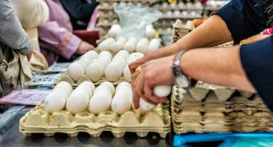 🥚Ставропольские аграрии нарастили продажи яиц, зерна и масличных
В январе–июне 2026 года реализация яиц выросла в 1,9 раза, зерна с учётом кукурузы — в 1,7 раза, масличных культур — на 34,8% | Сетка — социальная сеть от hh.ru