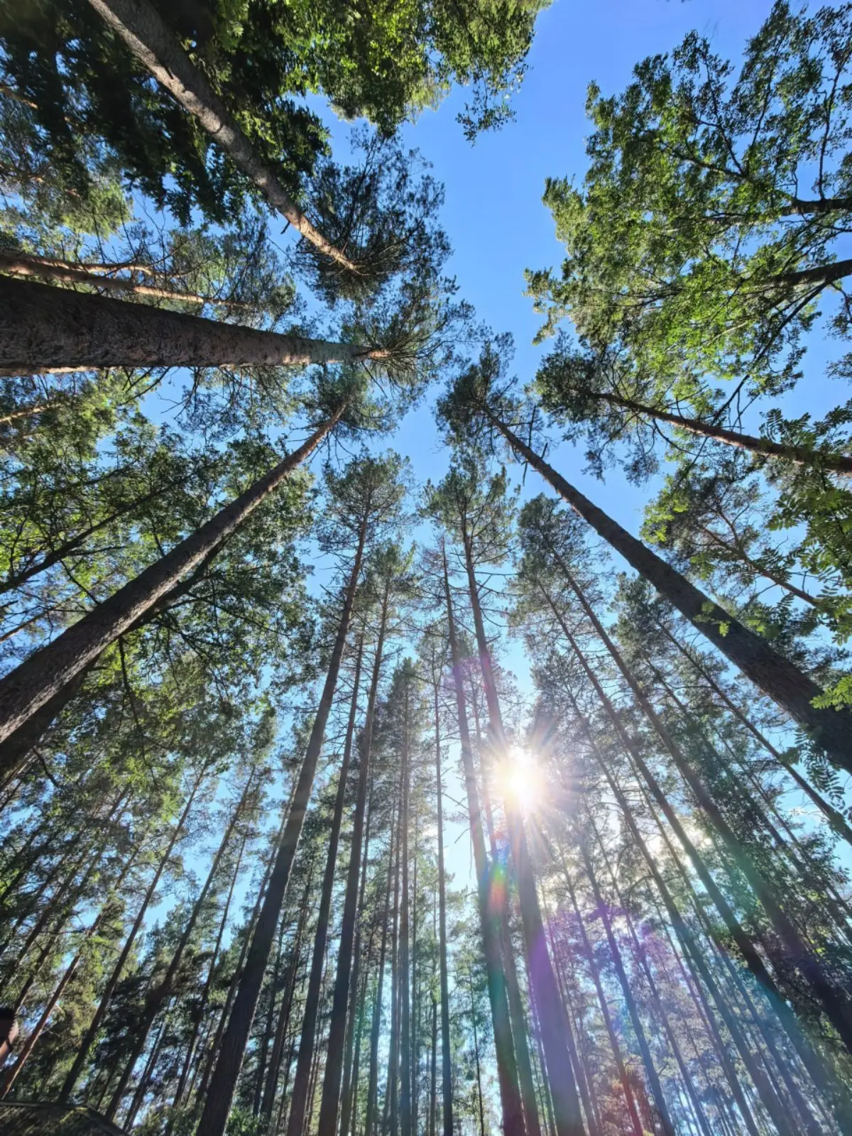 ☀️ Доброе утро. Всем хорошего настроения | Сетка — социальная сеть от hh.ru