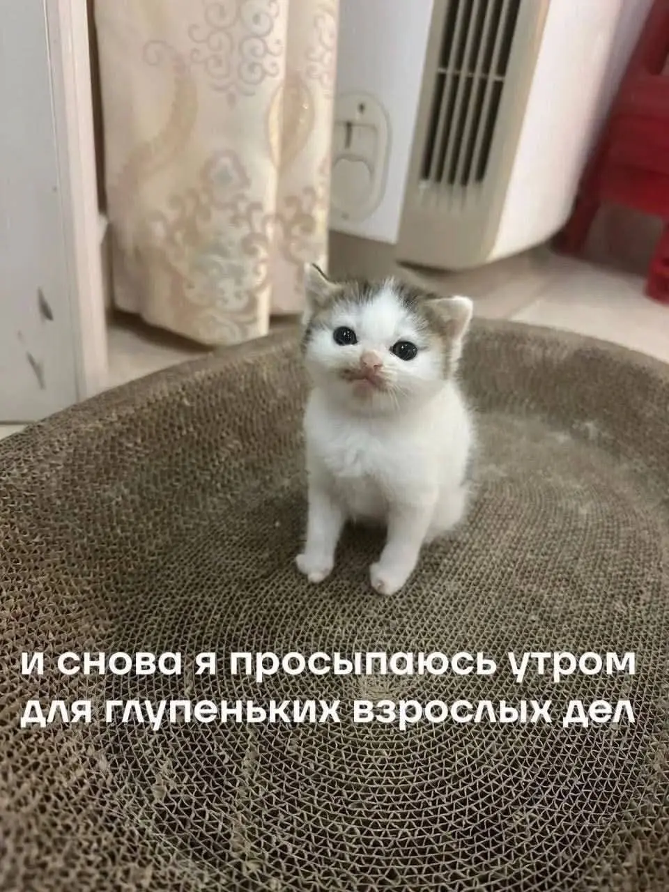 #morning | Сетка — социальная сеть от hh.ru