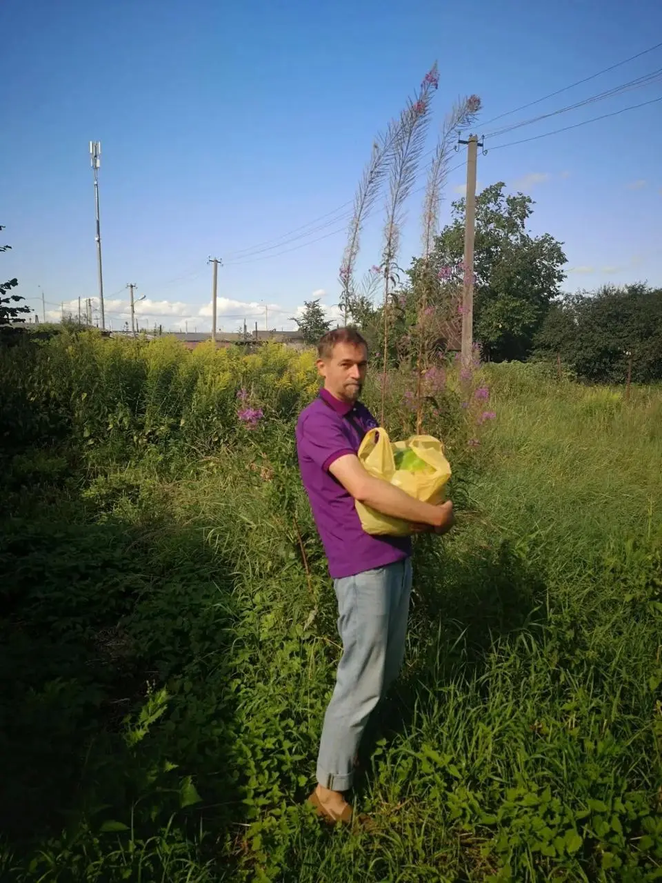 Очень неожиданным околочайным впечатлением от Пскова и его окрестностей оказался иван-чай | Сетка — социальная сеть от hh.ru