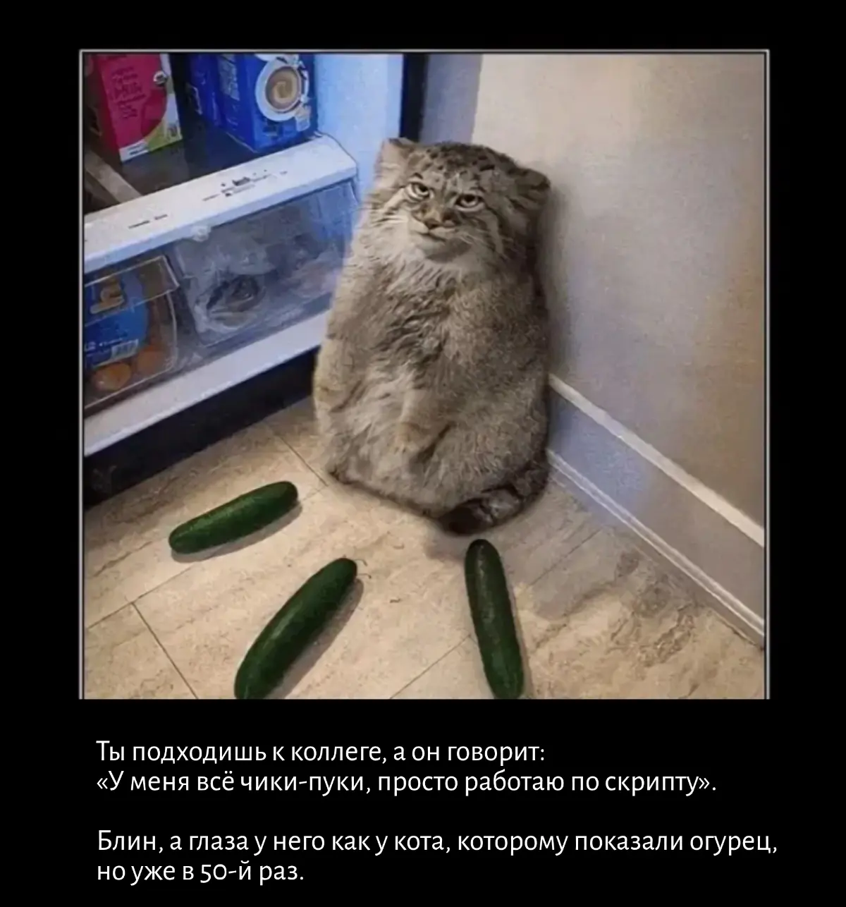 Когда больше не цепляет | Сетка — социальная сеть от hh.ru