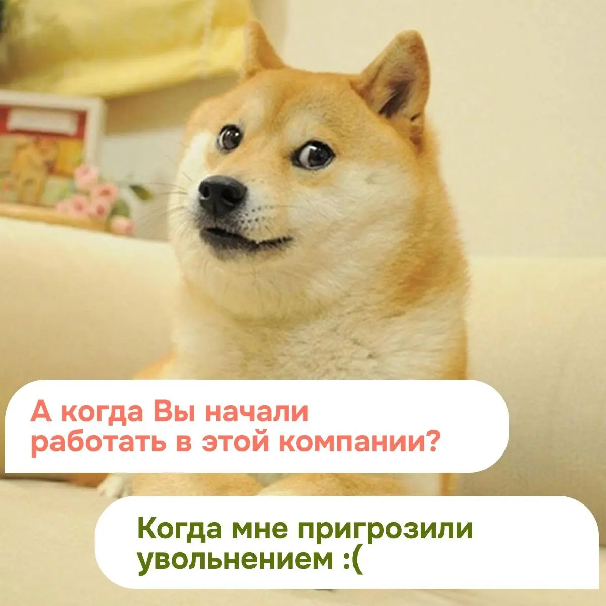 Знакомая ситуация, коллеги? | Сетка — социальная сеть от hh.ru