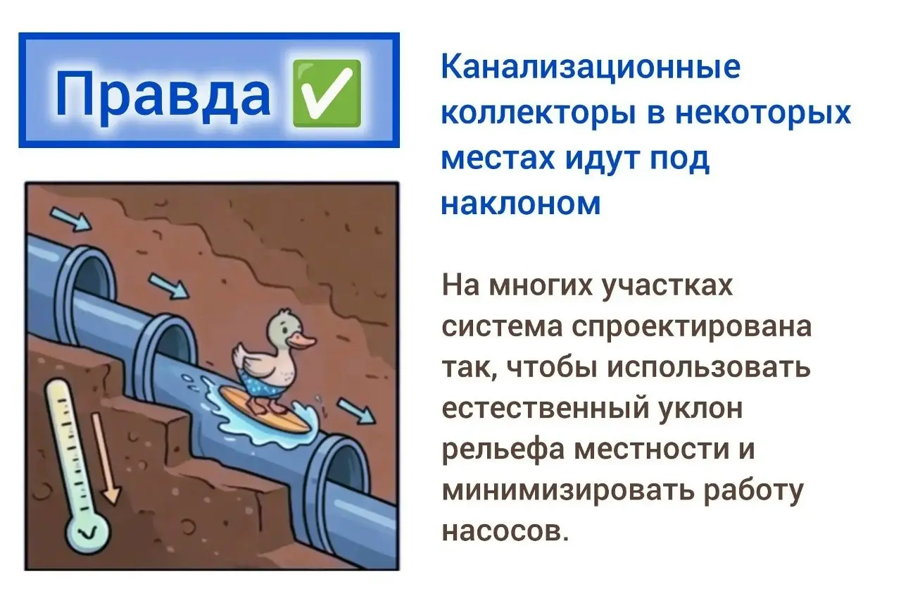 🎉 Спасибо всем, кто участвовал в интерактиве «Правда или миф»! 🎉
Вы отлично справились – было много точных ответов, а некоторые факты казались такими невероятными, что легко могли сбить с толку! 😎
Пор... | Сетка — социальная сеть от hh.ru