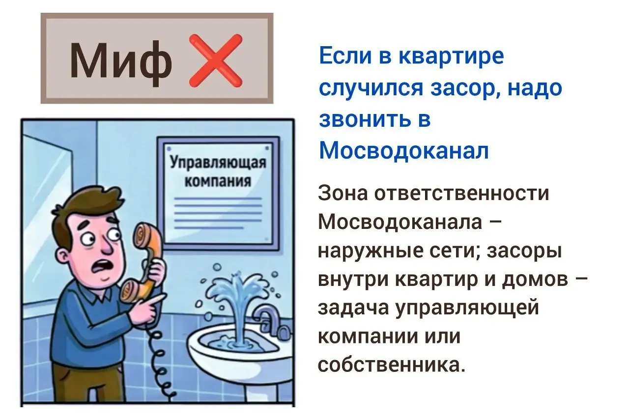 🎉 Спасибо всем, кто участвовал в интерактиве «Правда или миф»! 🎉
Вы отлично справились – было много точных ответов, а некоторые факты казались такими невероятными, что легко могли сбить с толку! 😎
Пор... | Сетка — социальная сеть от hh.ru