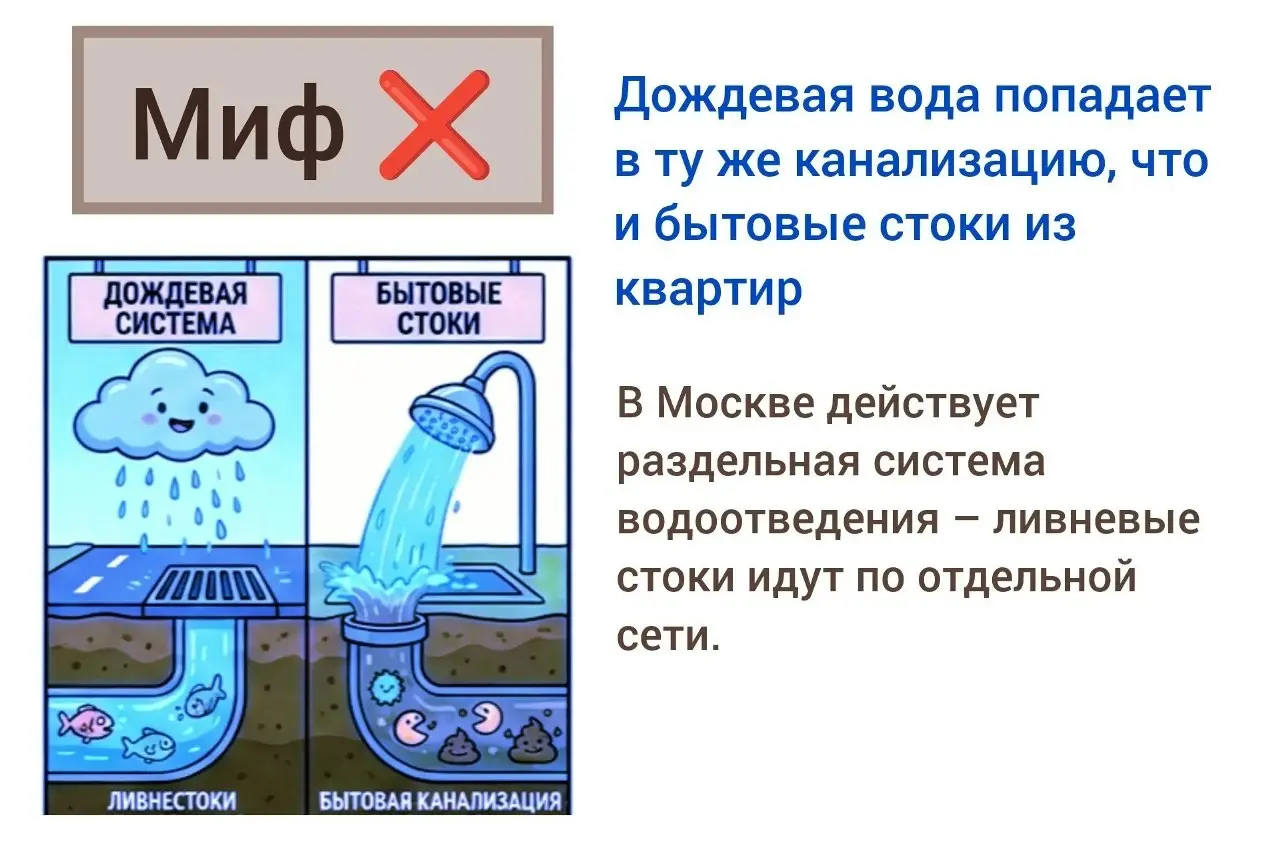 🎉 Спасибо всем, кто участвовал в интерактиве «Правда или миф»! 🎉
Вы отлично справились – было много точных ответов, а некоторые факты казались такими невероятными, что легко могли сбить с толку! 😎
Пор... | Сетка — социальная сеть от hh.ru